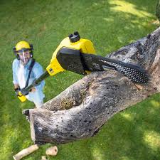 Best Commercial Tree Services  in Weston Mills, NY